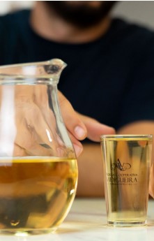 Curso de iniciação à prova organolética de vinho- Adega Vidigueira