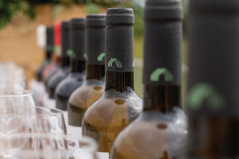 Visita à Adega e degustação de 3 Vinhos - Cas'Amaro