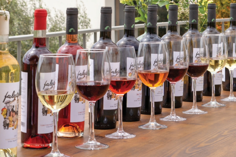 Visita à Adega e Prova de Vinhos Premium - Cas'Amaro