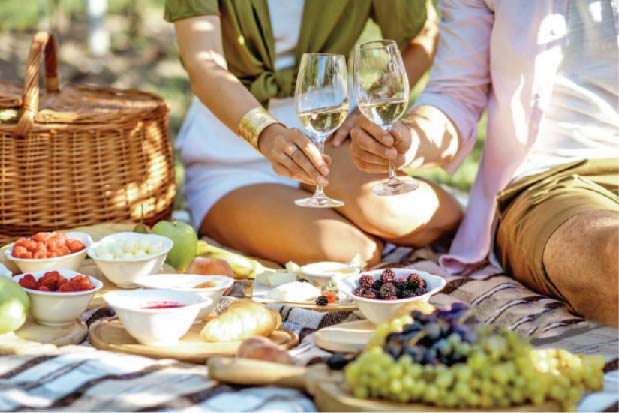 Piquenique nas Vinhas - Cas'Amaro