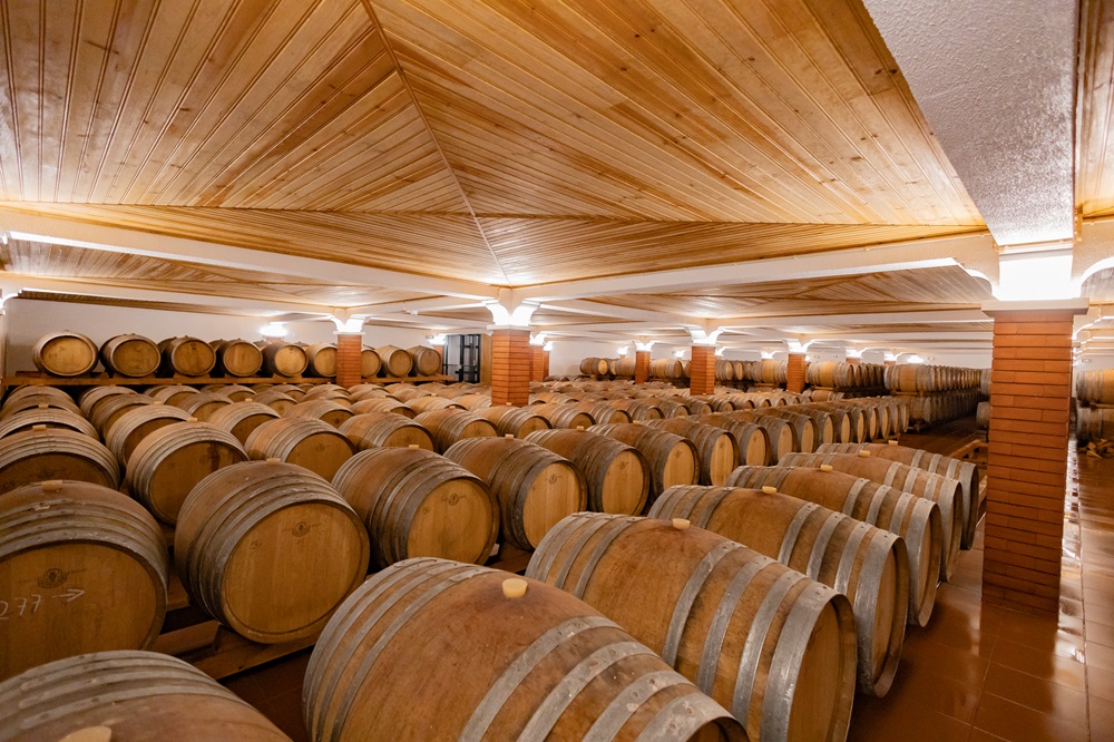 Visita à adega com prova premium - Quinta do Sampayo