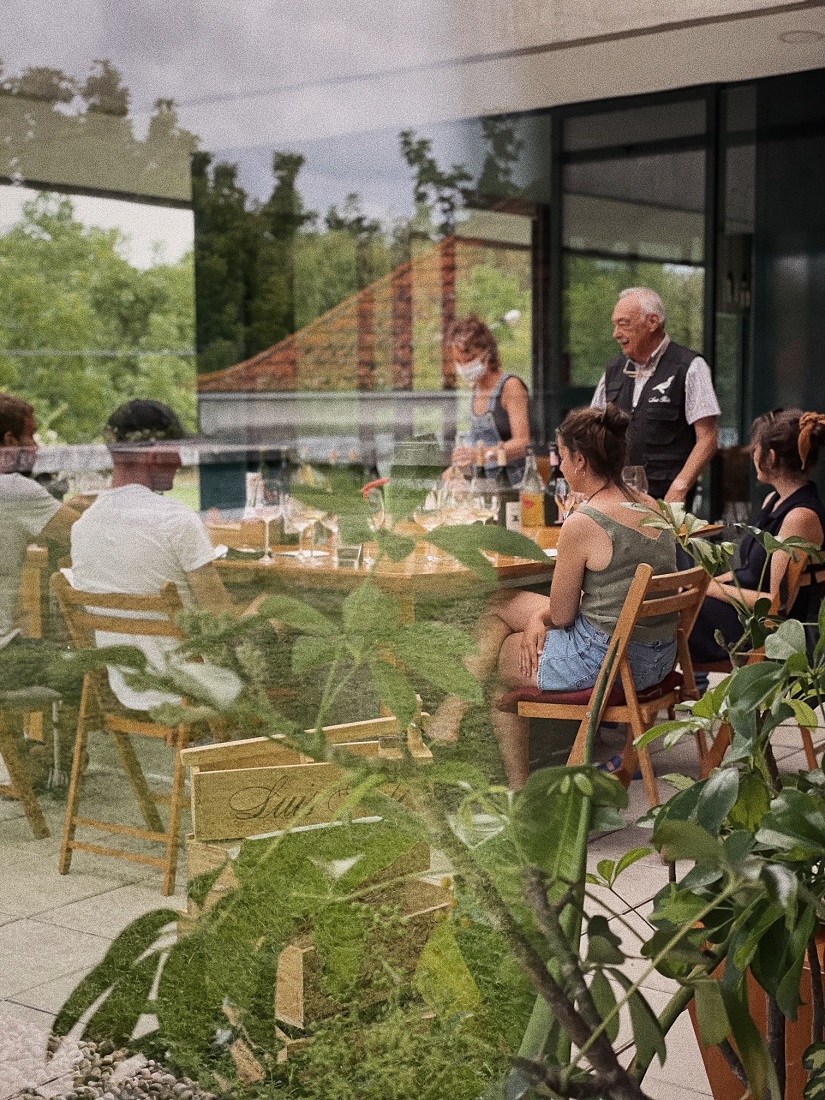 Visita com prova de vinhos e Almoço na Adega - Luis Pato