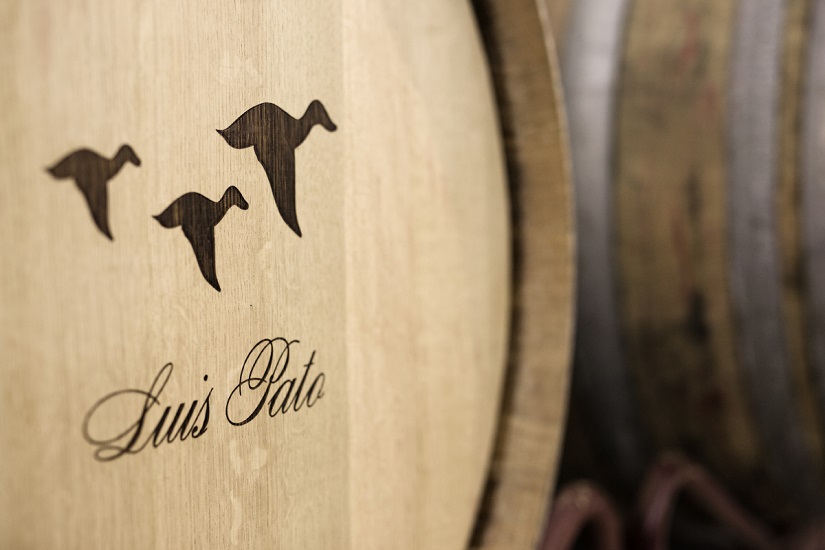 Visita à garrafeira com prova de Vinhos - Luis Pato