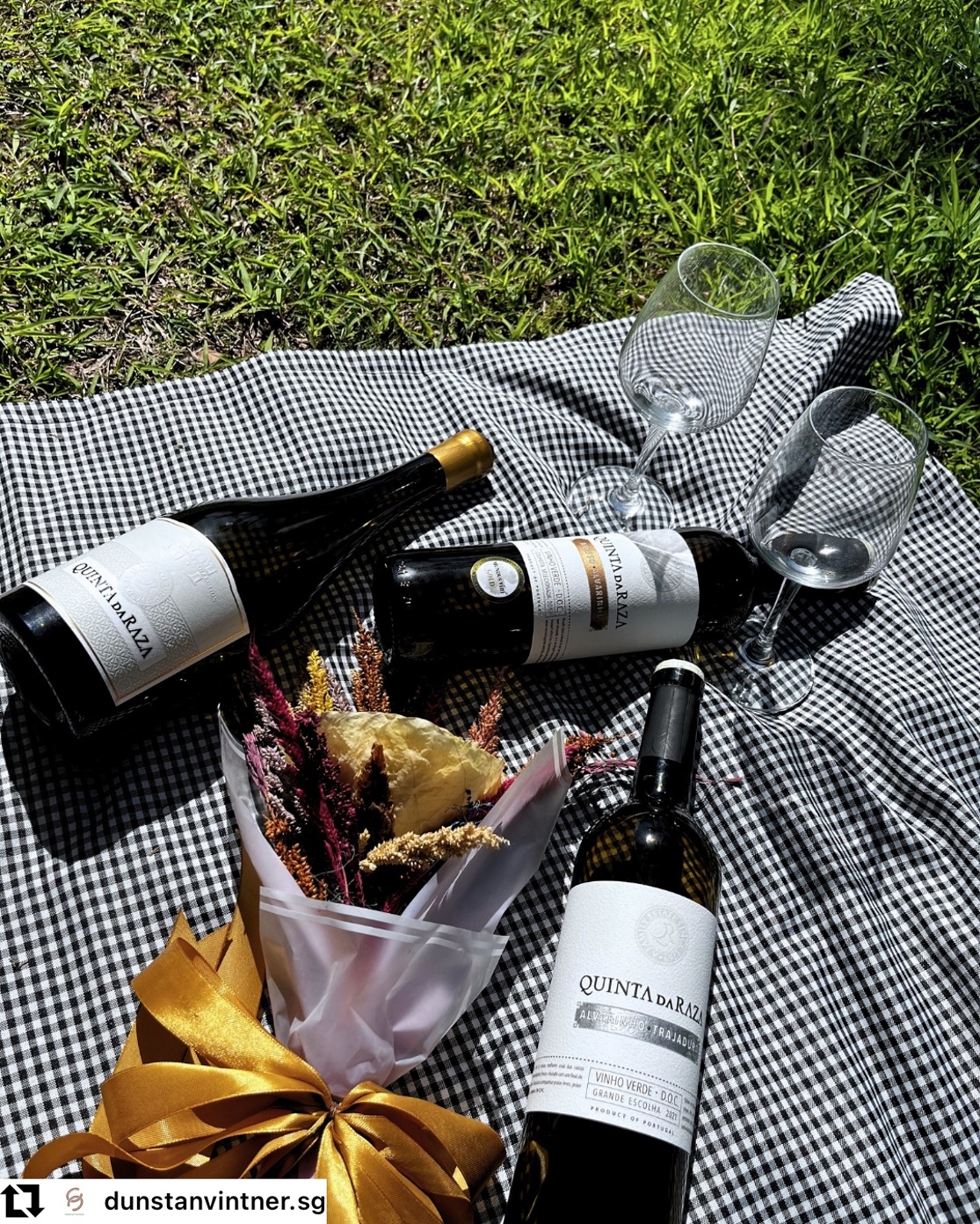 Piquenique Vínico - Quinta da Raza