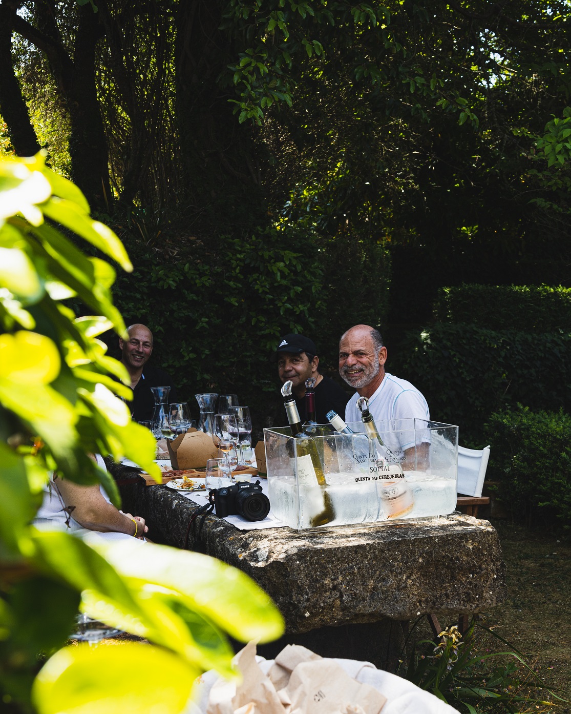 Piquenique com prova de vinho - Quinta do Sanguinhal