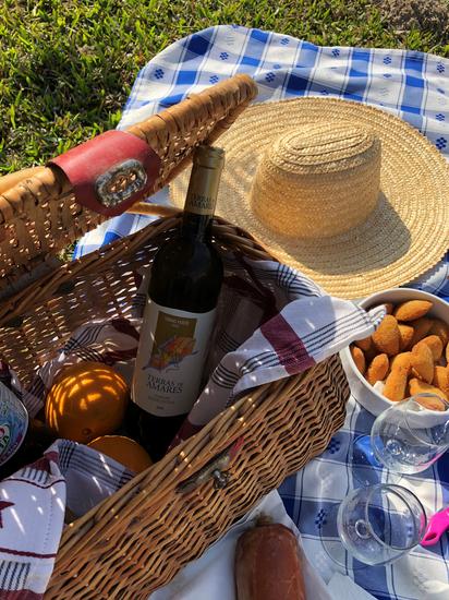 Piquenique nas Vinhas - Casa Lata