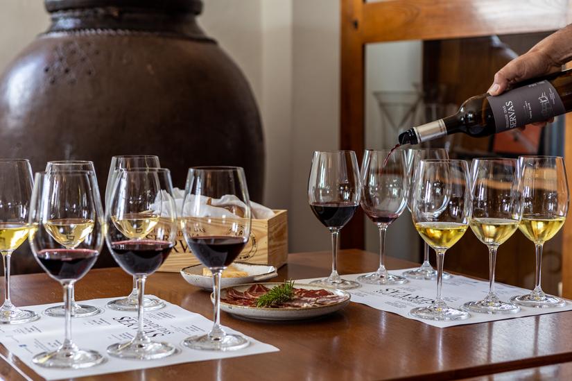 Visita com prova de vinhos “Prova Cega” - Herdade das Servas