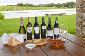 Seleção Premium - João Portugal Ramos