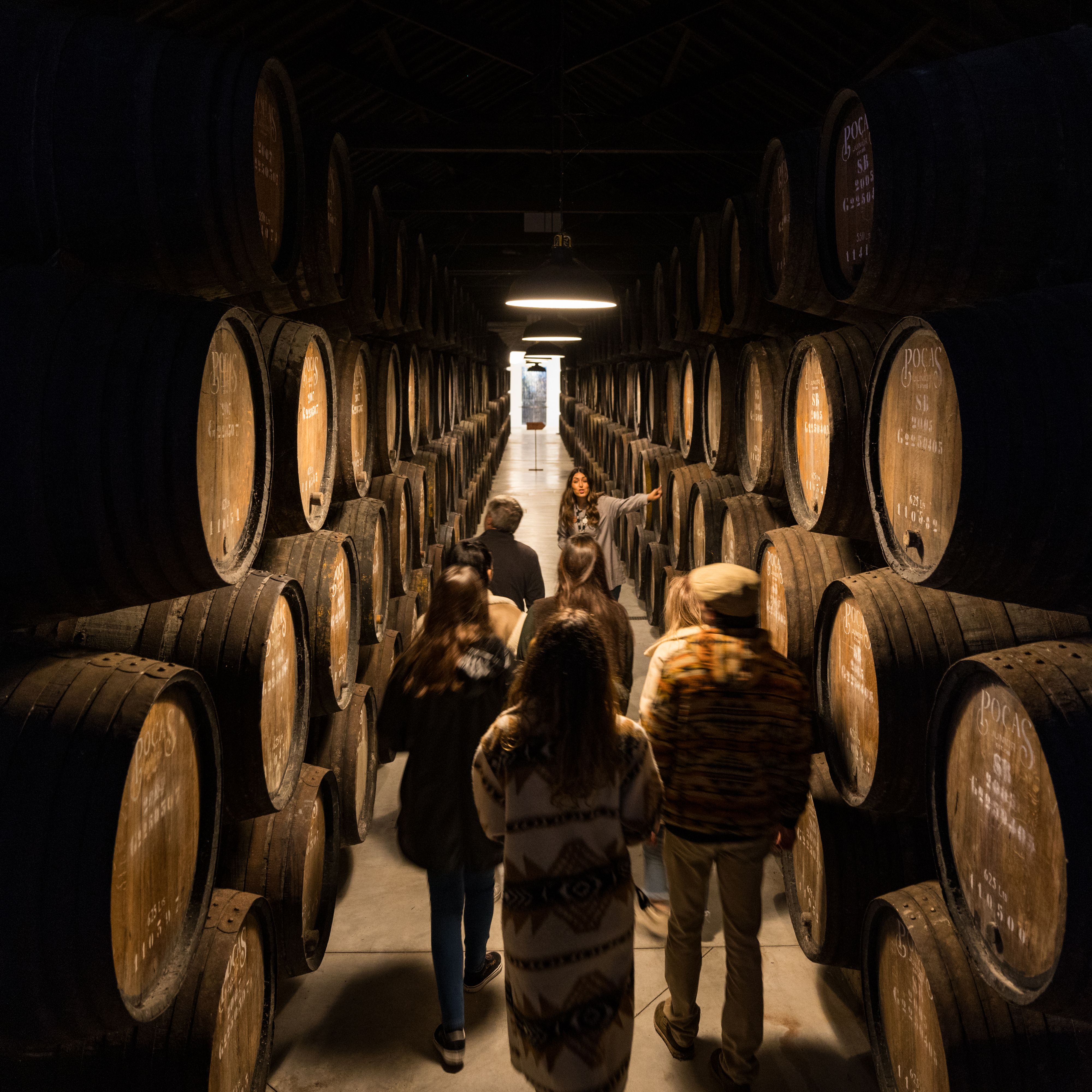 Visita Guiada + Prova de 3 Vinhos do Porto - Poças Vinho do Porto