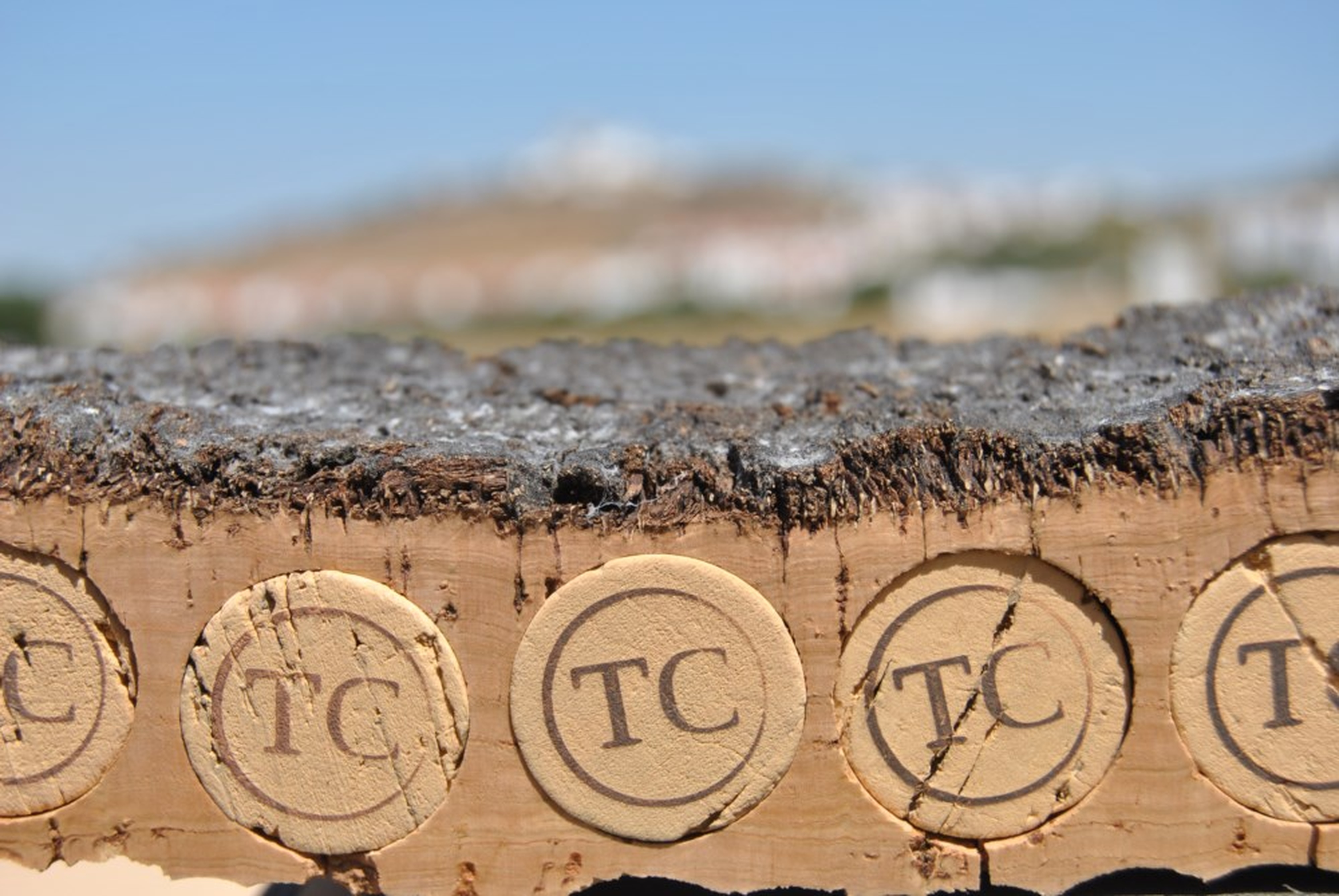 Visita e Prova Premium - Tiago Cabaço