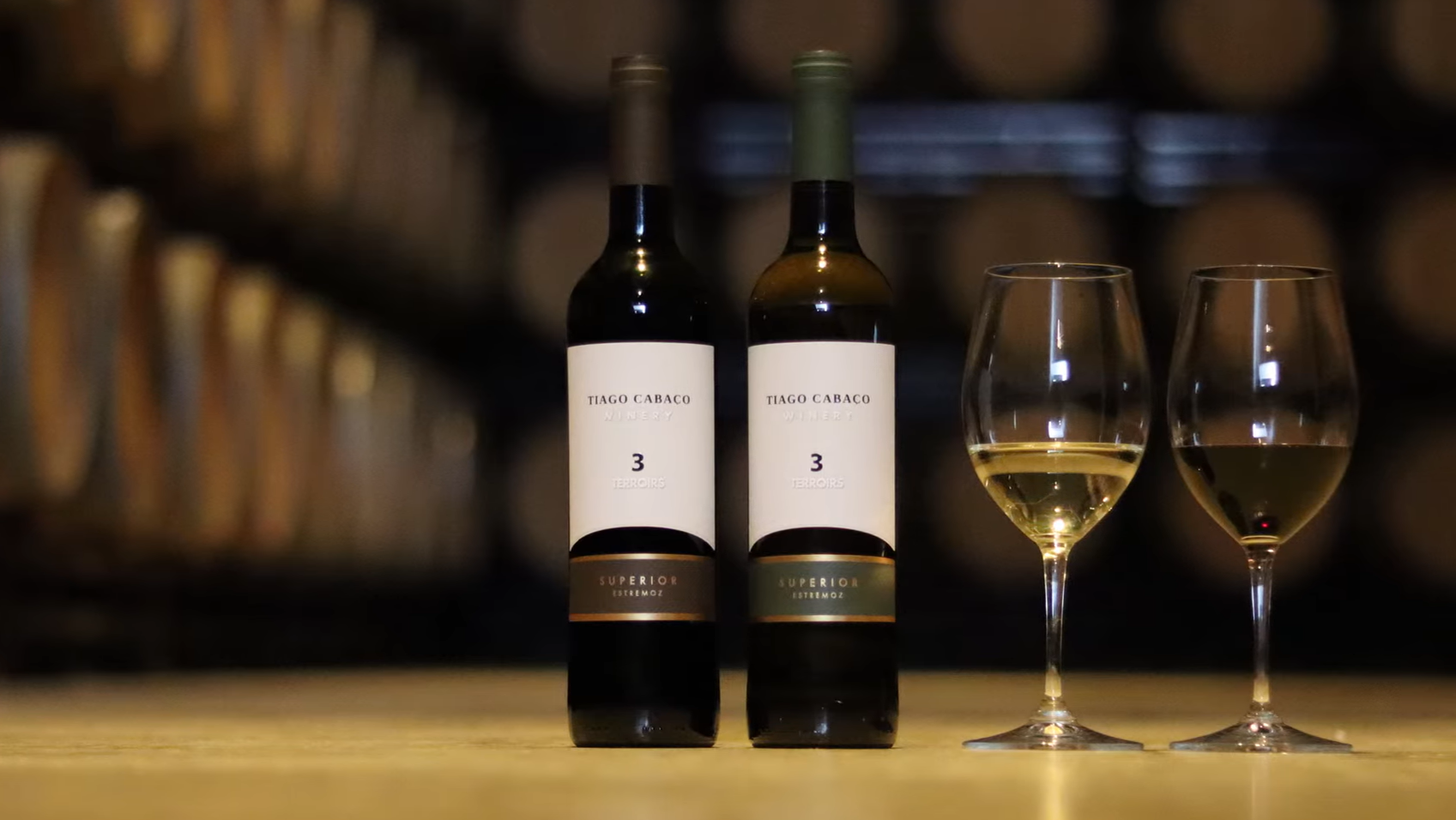 Visita e Prova Seleção - Tiago Cabaço