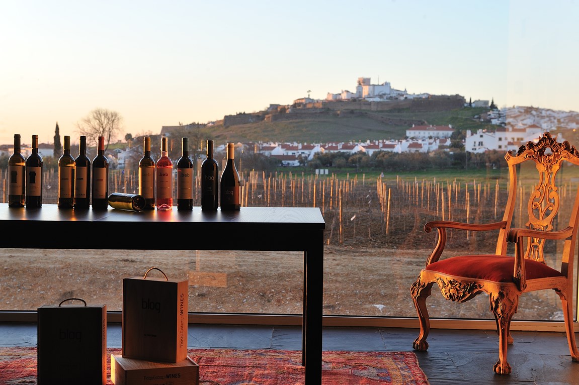 Visita e Prova Vinhos Especiais - Tiago Cabaço