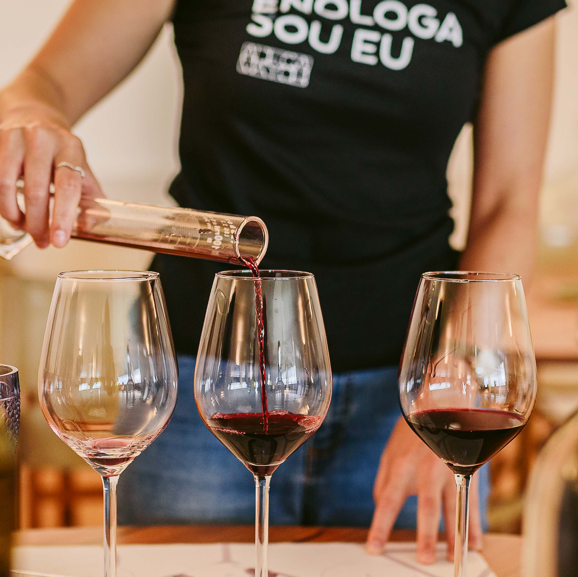 Enólogo Por Um Dia - Adega Mayor