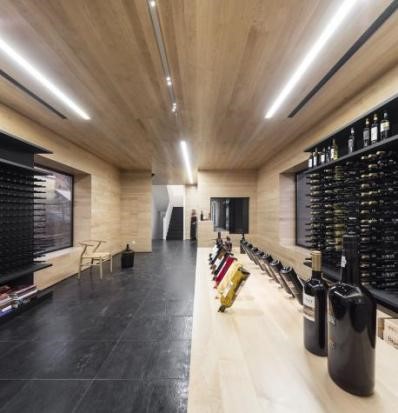 Programa Premium - Alves de Sousa