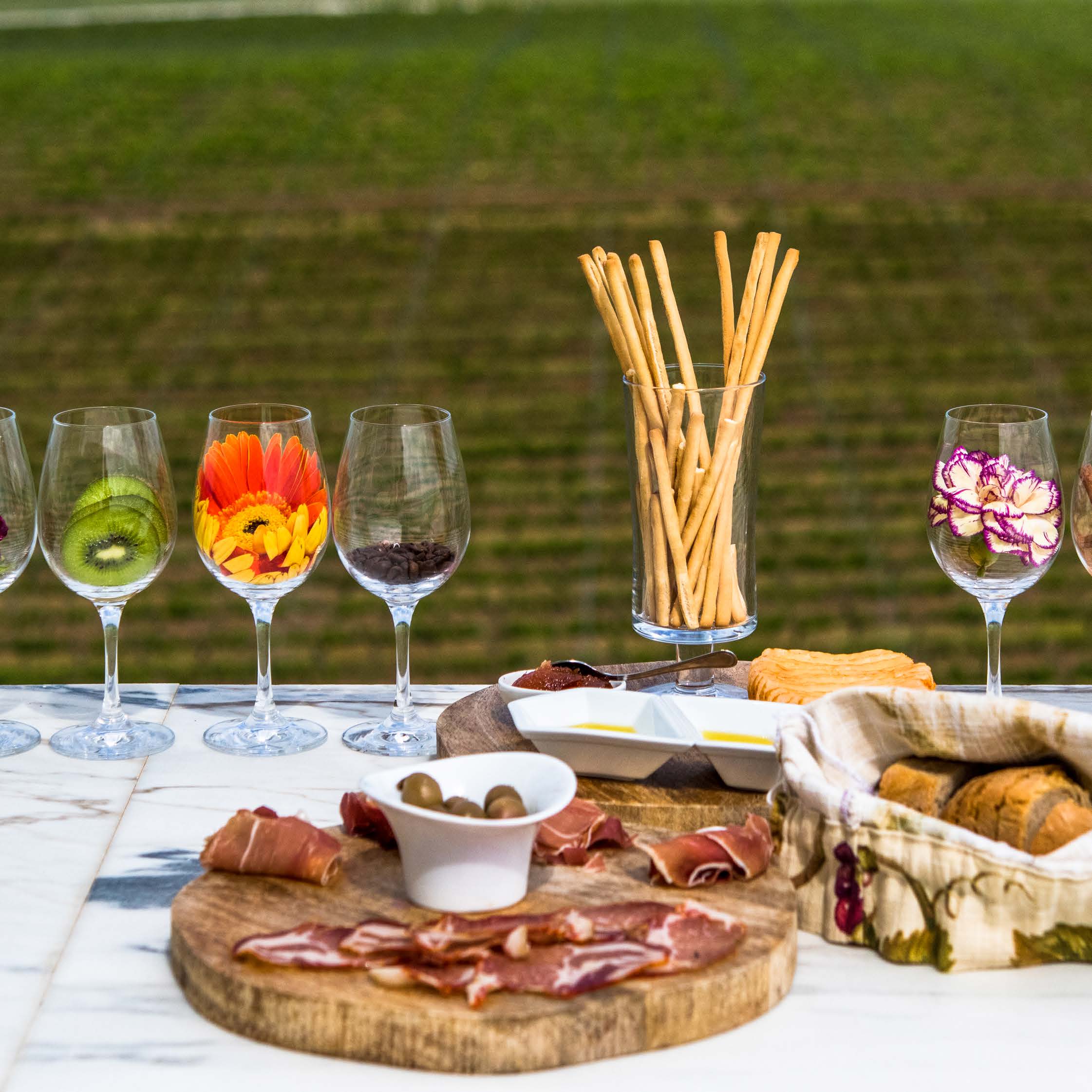 Visita Com Prova e Tapas - Adega Mayor