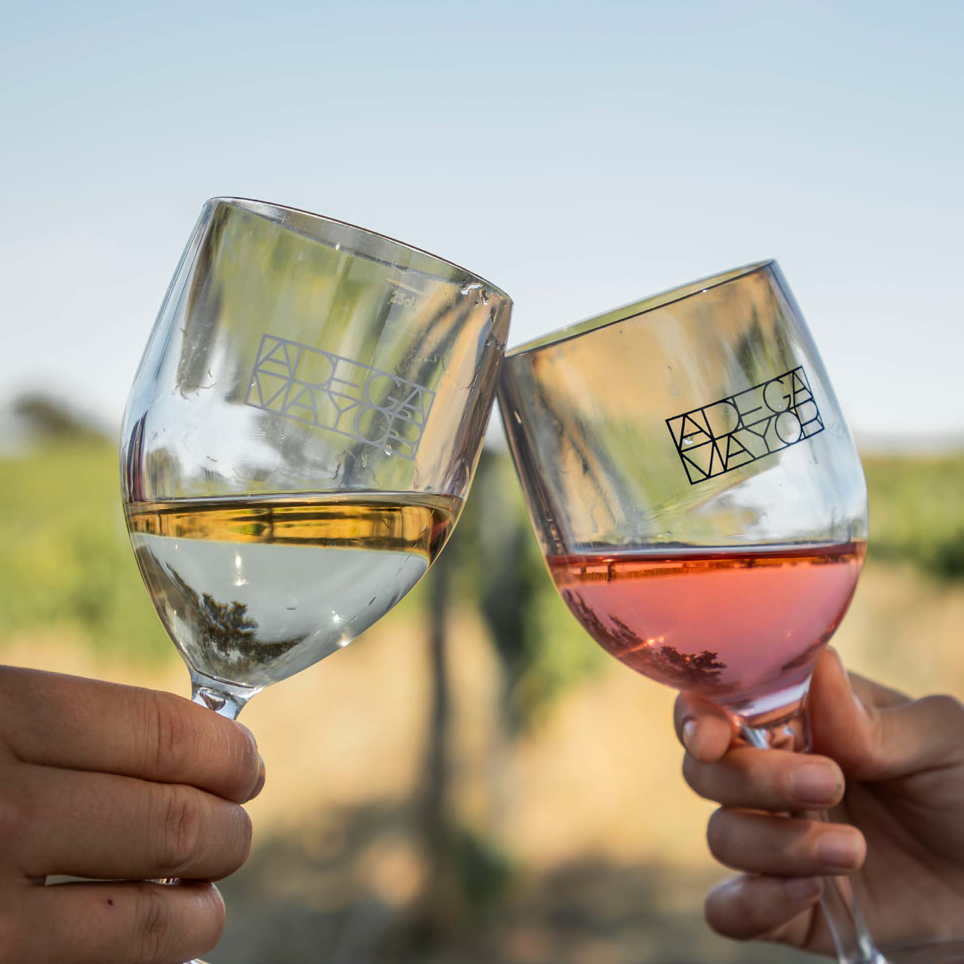 Visita Com Prova - Adega Mayor