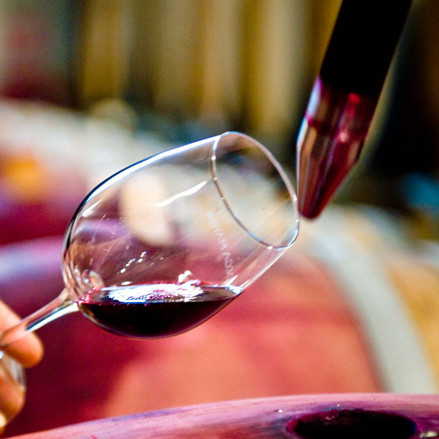 Visita Mayor com Workshop Vínico - Adega Mayor