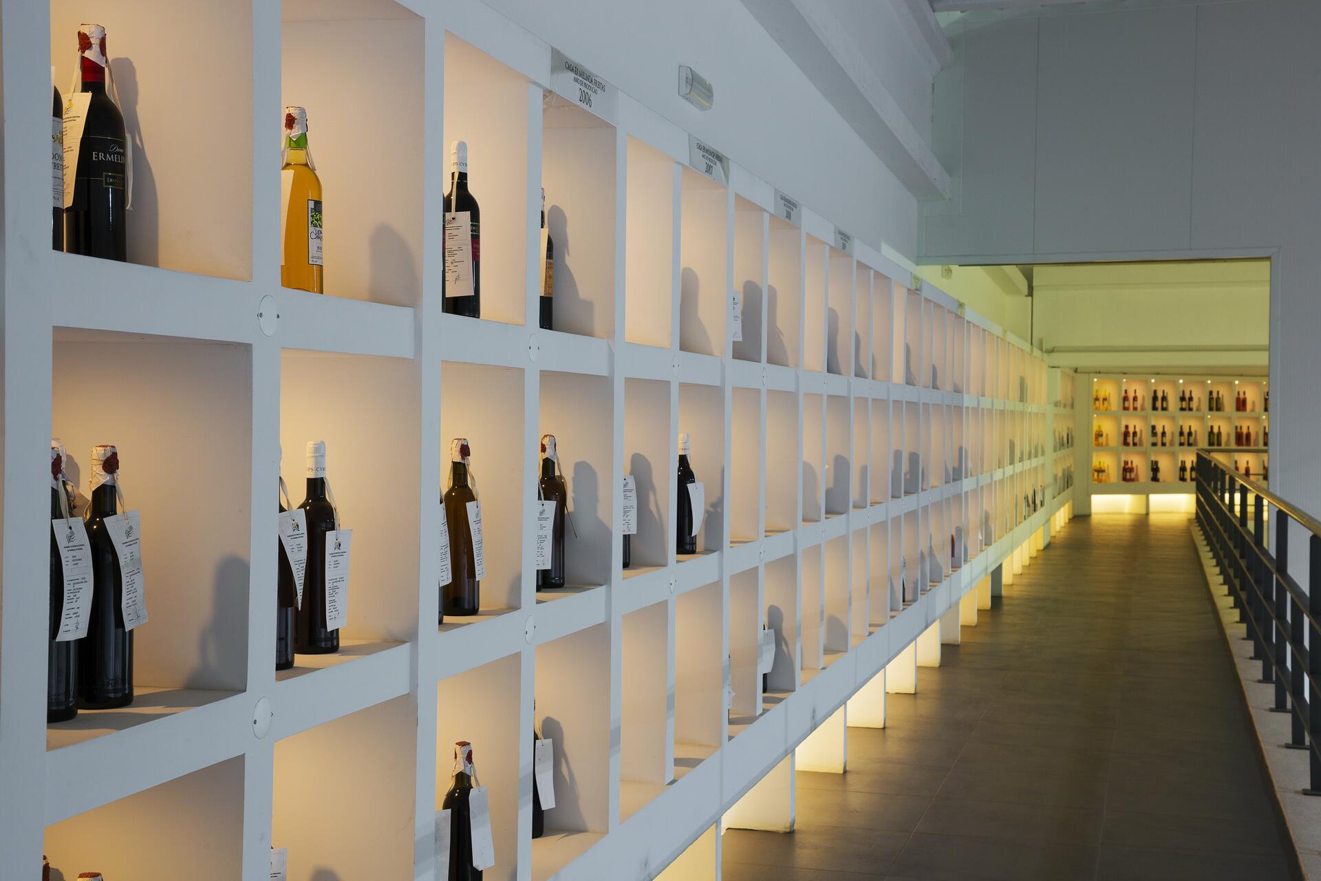 Prova de vinhos Standard ou 3 Regiões - Casa Ermelinda Freitas