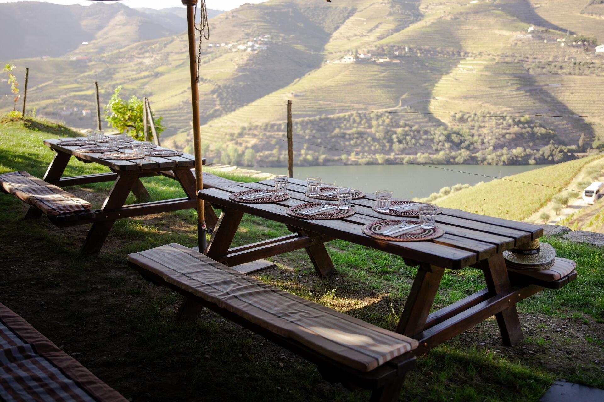 Experiência exclusiva - Quinta do Seixo