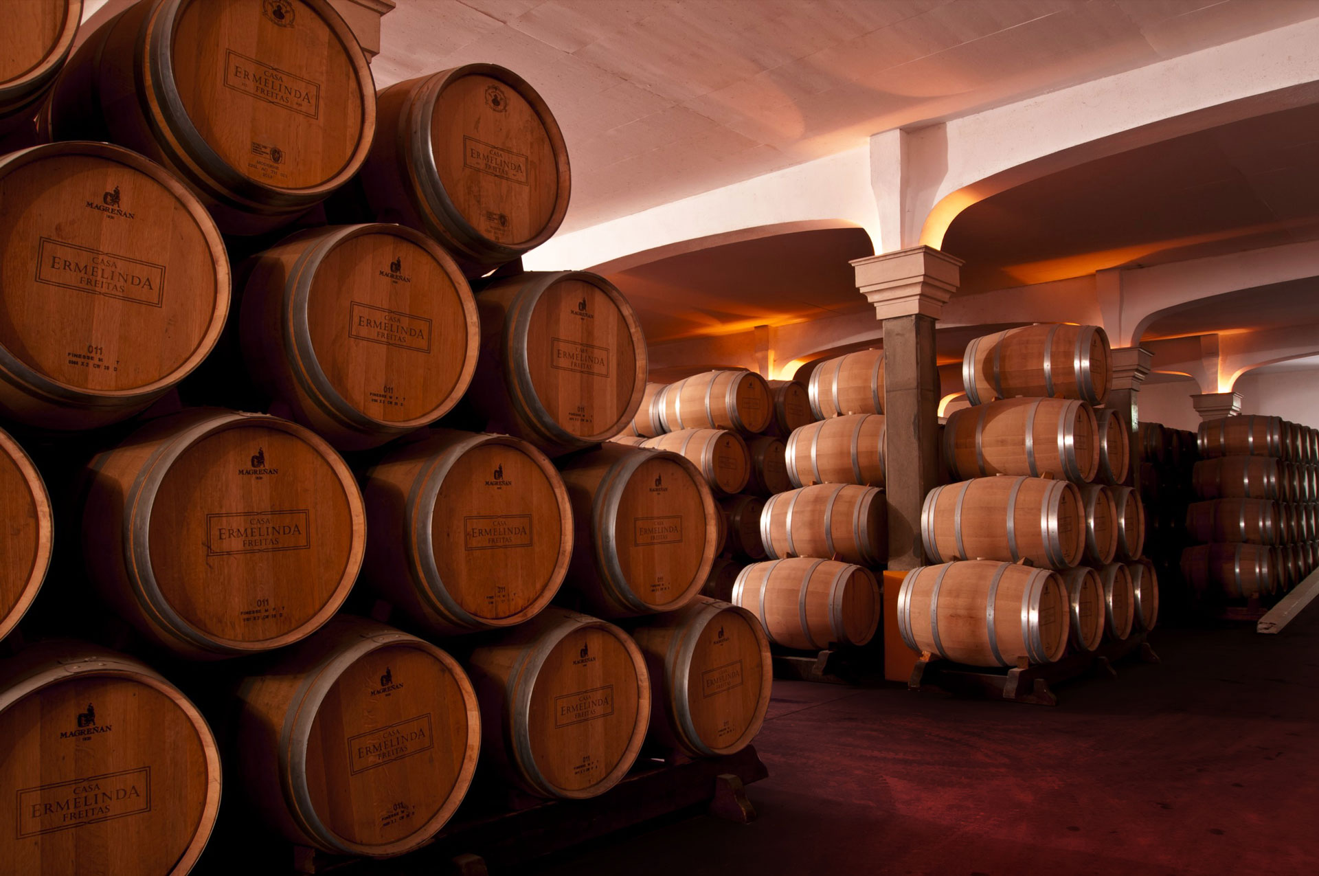 Prova de vinhos Monocastas ou Premium - Casa Ermelinda Freitas