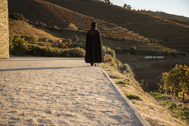 Visita Sandeman - Quinta do Seixo