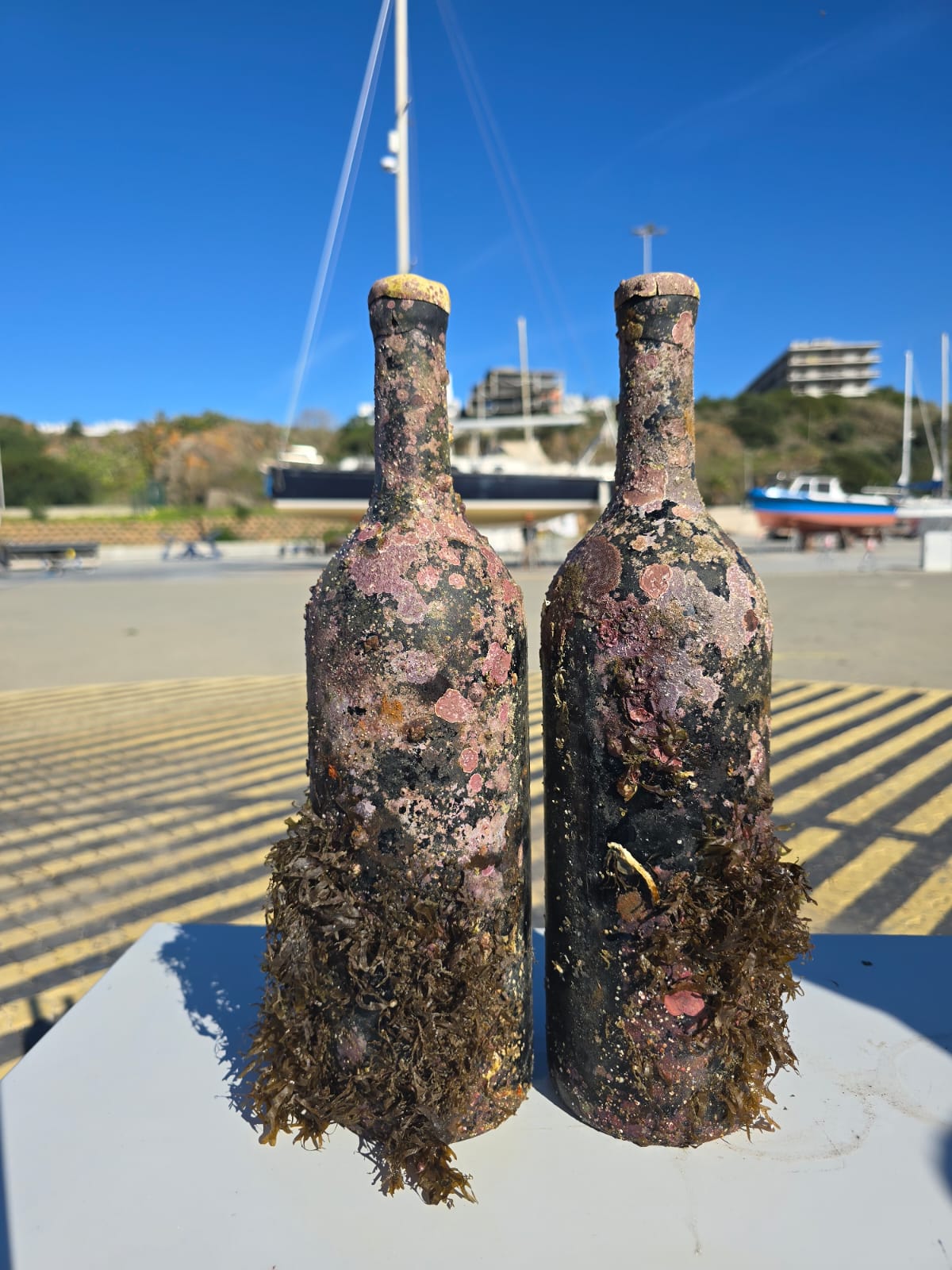 Prova de Vinhos do Mar – Serenada