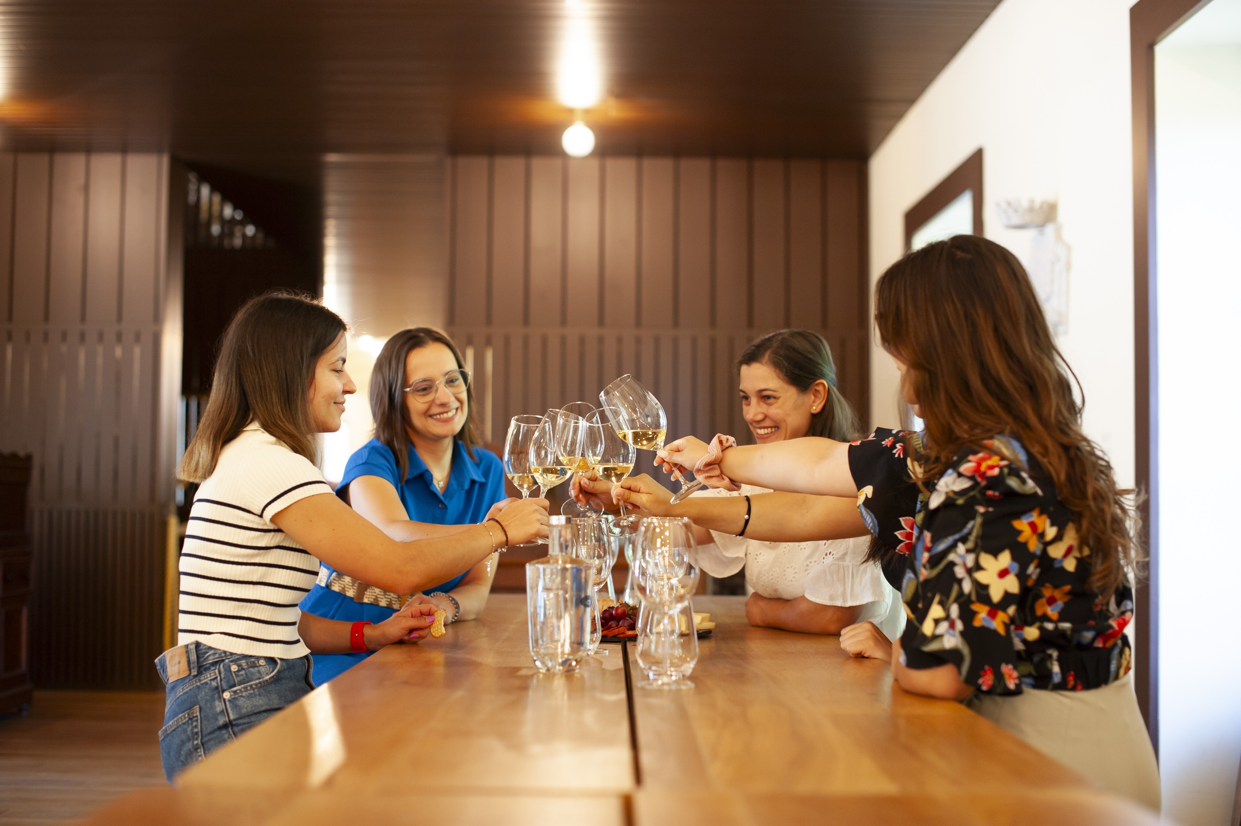 Visita com prova de 3 vinhos Castas Aveleda - Aveleda