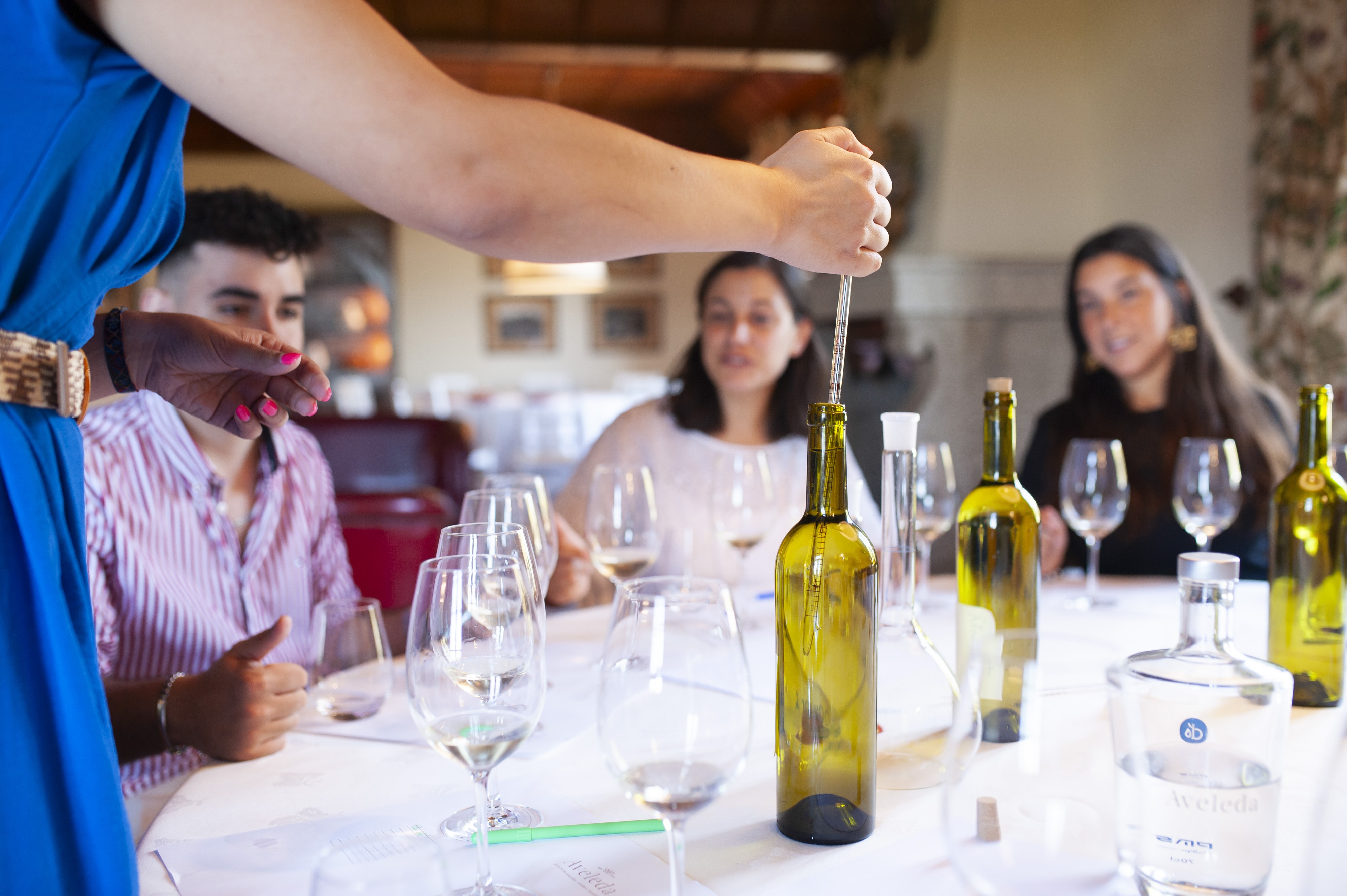 Visita Guiada e Oficina do Vinho - Aveleda