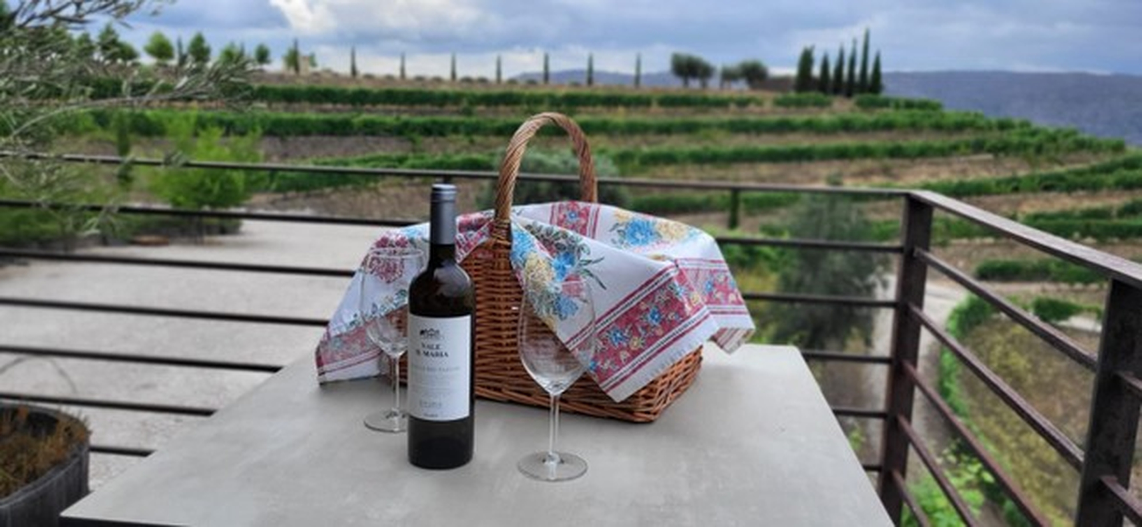 Visita Guiada e Merenda com Sabor Premium - Quinta Vale do Sabor