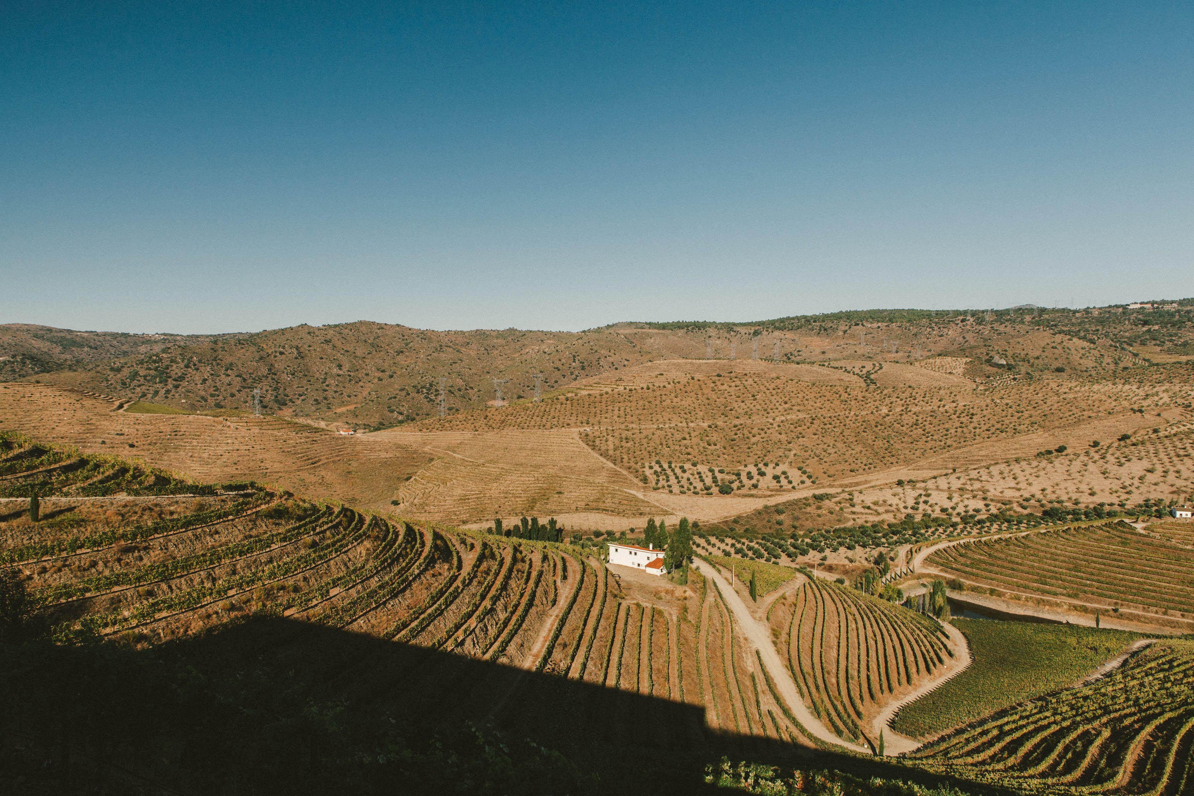 Visita Guiada e Prova Douro Premium - Quinta Vale do Sabor