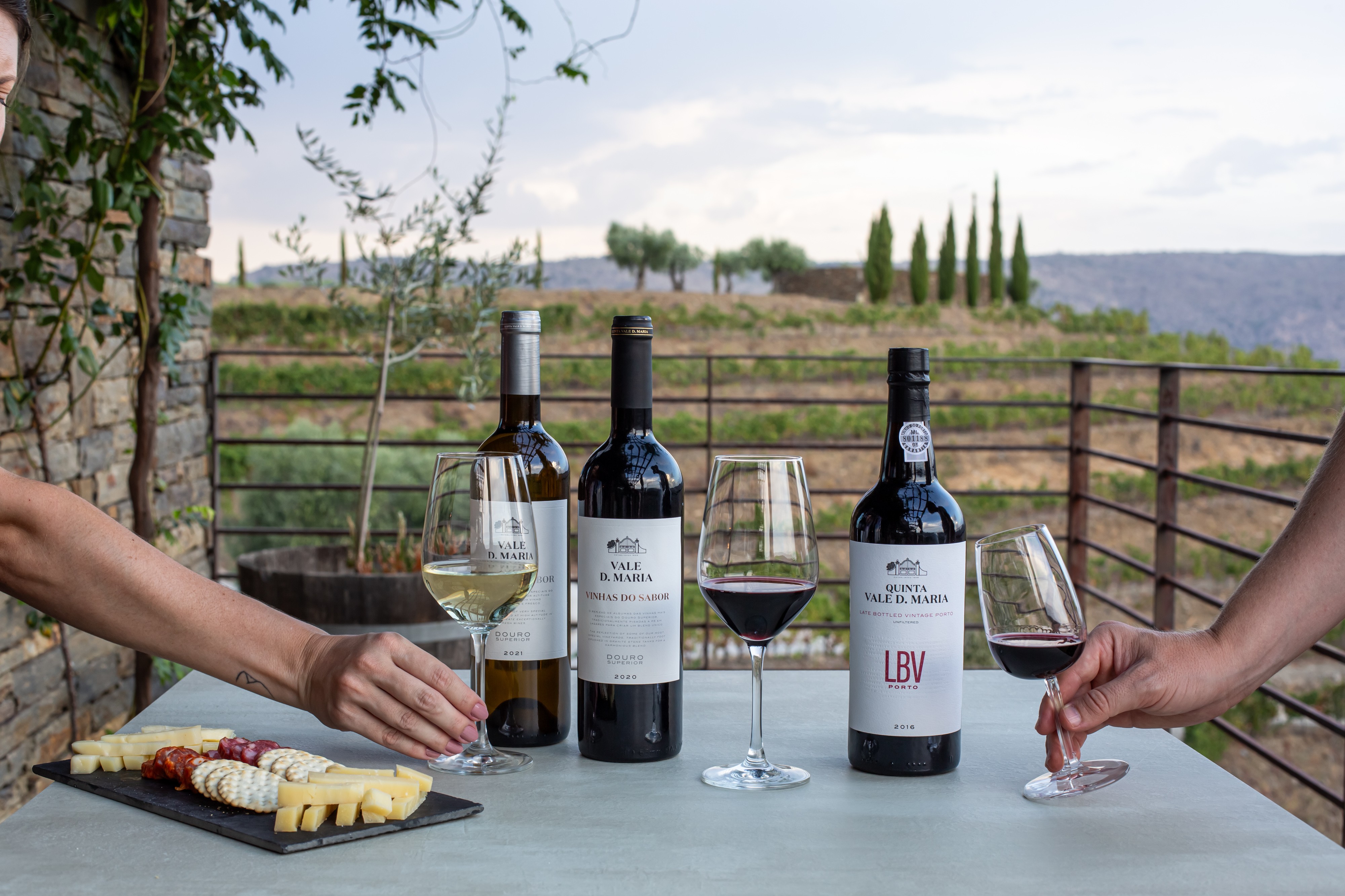 Visita Guiada e Prova Vinhas do Sabor - Quinta Vale do Sabor