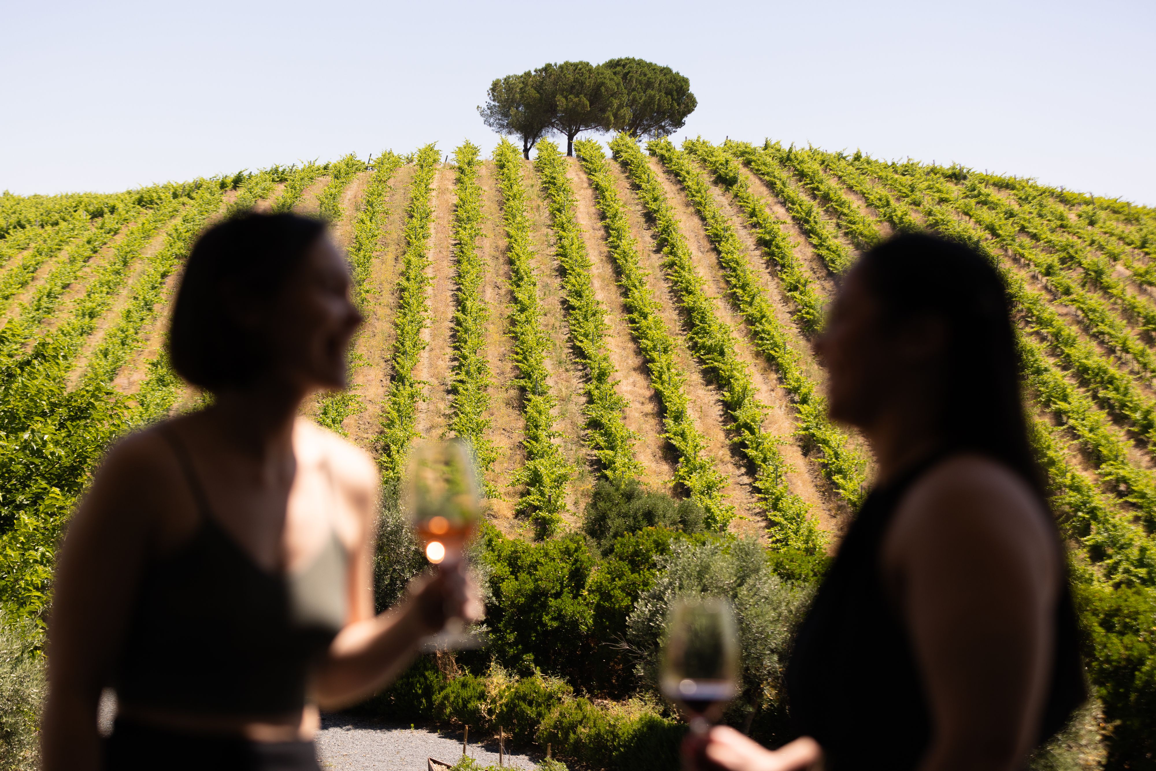 Quetzal Da Vinha ao Copo - Quinta do Quetzal