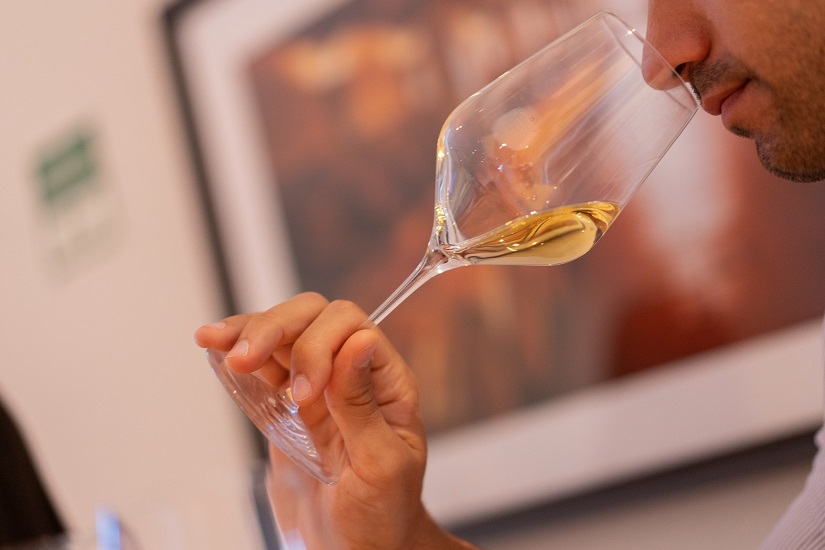 The Wine Experience WOW + Prova Personalizada