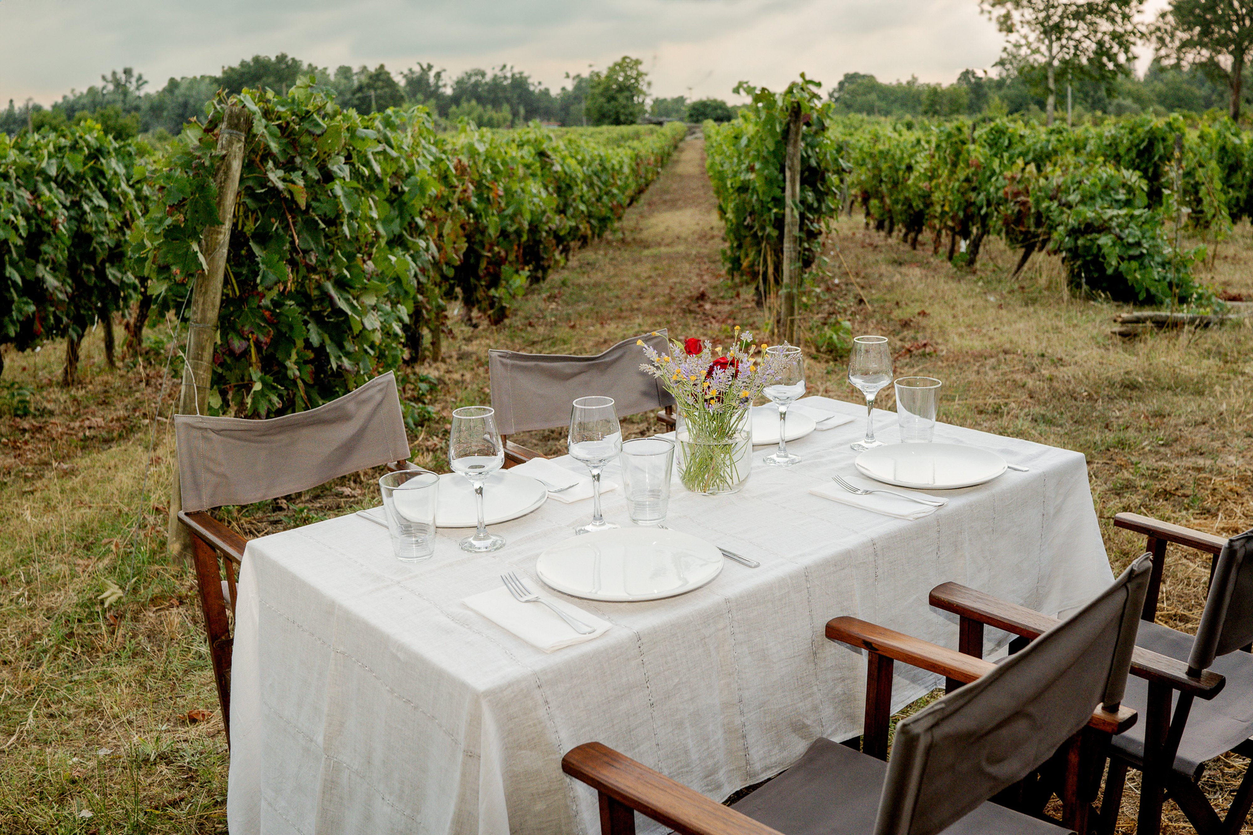 Tapas na Vinha - Pereira de Melo Wines